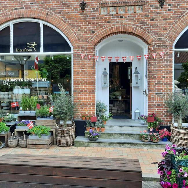 Planter foran butikken